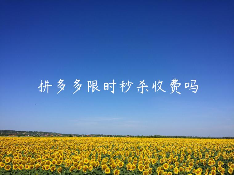 拼多多限時(shí)秒殺收費(fèi)嗎